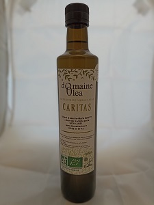 Caritas 2024
