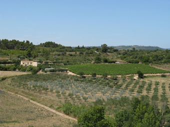 On distingue bien la zone traitée à l'argile