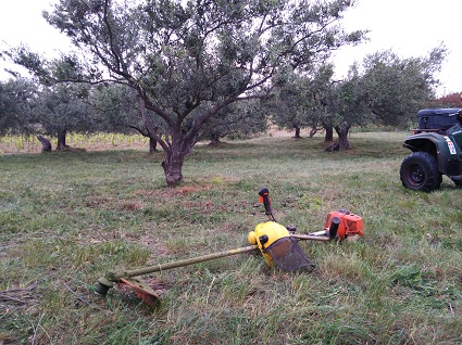 fauchage de l'herbe au Balenats