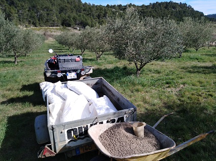 pandage de l'engrais au verger de Prat long Domaine Olea