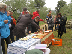 Dégustation d'huile